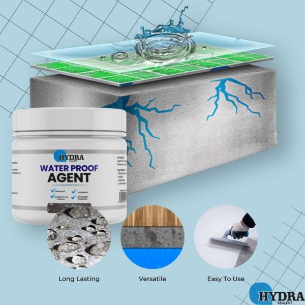 Hydra Waterproof Agent | Waterproofing Agent For Wall & Floor – With Brush